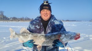 Трофей взят💪БОРЬБА С большой Щукой на ЖЕРЛИЦЕ (Крокодилом)