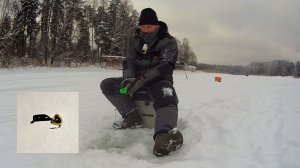 НОВЫЕ БЕЗМОТЫЛКИ. Ловлю ПЛОТВУ и ОКУНЯ на ГВОЗДИКИ. Рыбалка на ИСТРЕ.