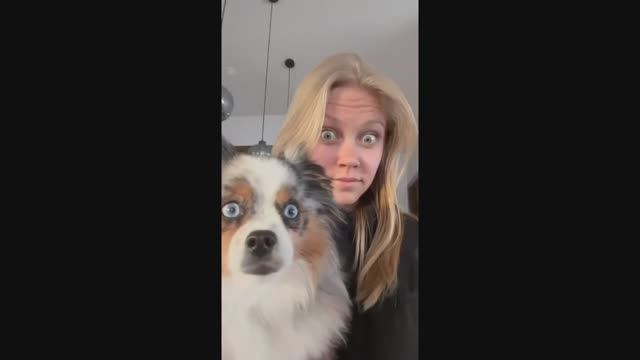 #смешныевидео -791 смотреть онлайн