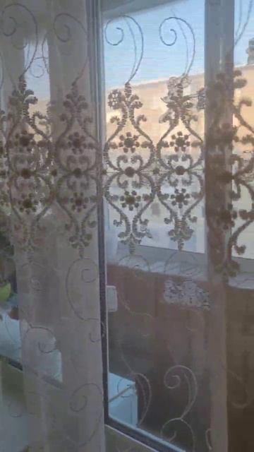 video_2026-01-28_10-15-51 смотреть онлайн