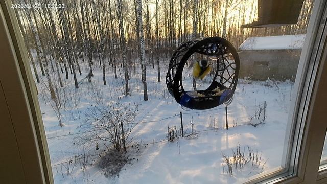 20260125_145947 смотреть онлайн