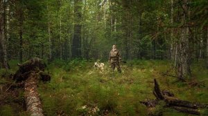 Интересные истории из жизни.