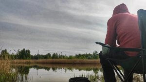 Раздача плотвы на карьере. Секреты местного жителя.