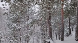 Отношение к деньгам. Немного о финансовой грамотности