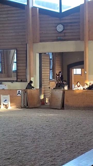 Мои соревнования в КСК ПЕГАС 25.01.16