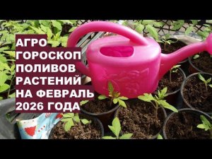 Февраль 2026 | Когда поливать, чтобы растения благодарили!