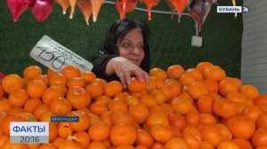 ФАКТЫ. Выпуск от 28.01.26