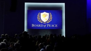 В администрации президента США рассказали о роли «Совета мира»