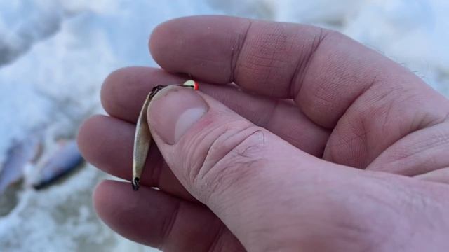 Первая рыбалка в 2026 году. Глухозимье 5