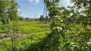 Немного лета среди зимы😊 До чего хорош денёк: Веет лёгкий ветерок, Солнца летнего лучи Так приятно