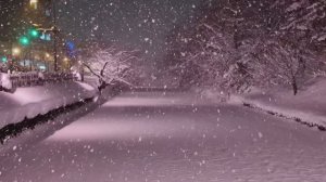 Заснеженный замок Хиросаки: Ночная Заснеженная Сакура и утренняя прогулка.