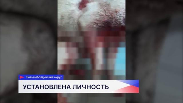 До трех лет лишения свободы может грозить живодёру, который оставил умирать собаку смотреть онлайн