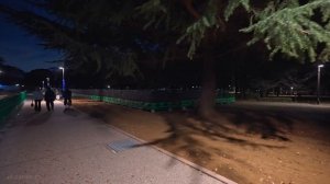 Токио, Япония - Ночная прогулка по Сибуе от холмов Омотесандо