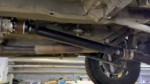 “Владелец зовёт её Матильда»