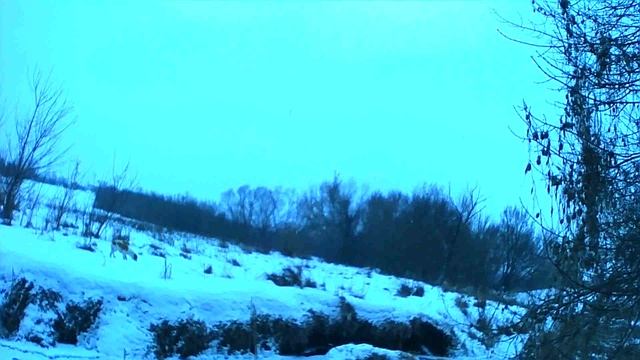 Охота на зайца с эстонкой. один из дней смотреть онлайн