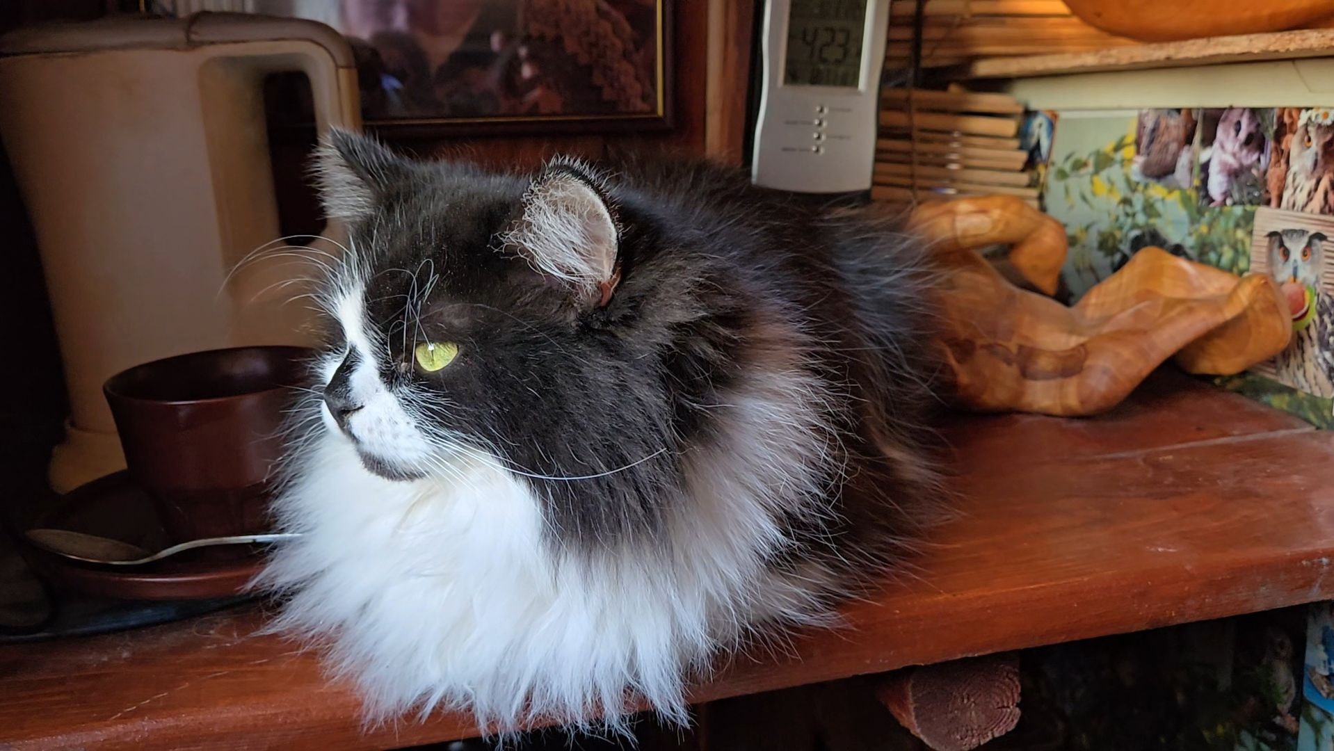 Яркий закат, птицы за окнами и грядущий снегопад смотреть онлайн