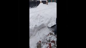 Начало дня....