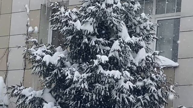 Влог. Посещение стоматологической клиники. Профилактический осмотр. смотреть онлайн