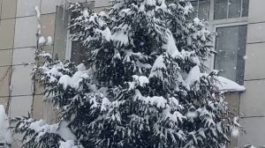 Влог. Посещение стоматологической клиники. Профилактический осмотр.