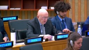 Выступление В.А.Небензи на неформальном заседании межправительственных переговоров по реформе СБ ООН