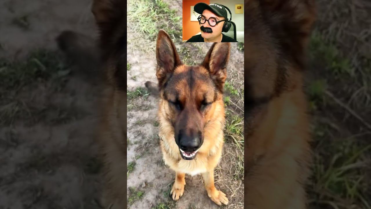 Лежачий полицейский смотреть онлайн