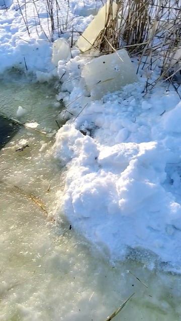 рыбалка на тягу алтай смотреть онлайн