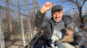 Ангелина с Люсей набрали ВКУСНЯШЕК и поехали угощать мишек, обезьянок и всех, всех!