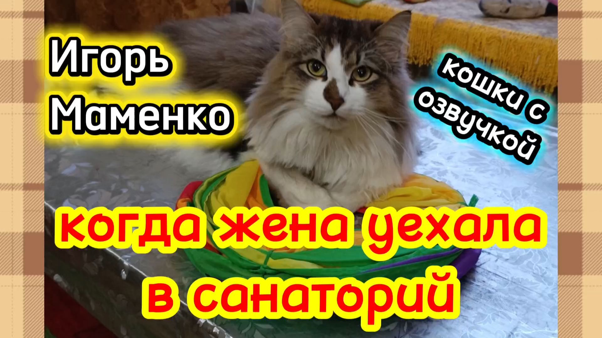 ИГОРЬ МАМЕНКО лучшее. смотреть онлайн