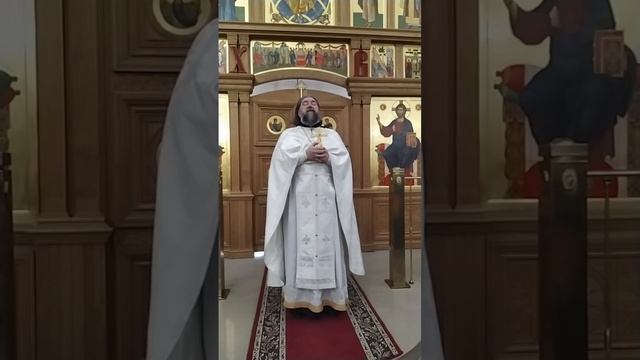 История о мытаре Закхее. О гибельной страсти осуждения. Проповедь о. Андрея. 25.1.26 смотреть онлайн