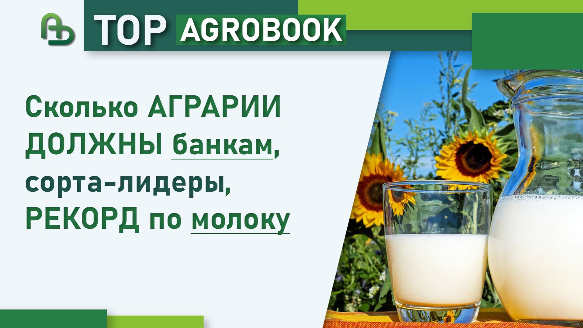 Сколько аграрии должны банкам, сорта-лидеры, рекорд по молоку | TOP Agrobook: обзор агроновостей смотреть онлайн