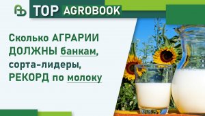 Сколько аграрии должны банкам, сорта-лидеры, рекорд по молоку | TOP Agrobook: обзор агроновостей