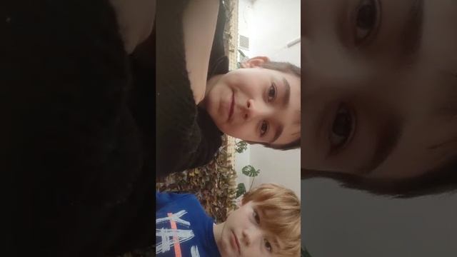 покой смотреть онлайн