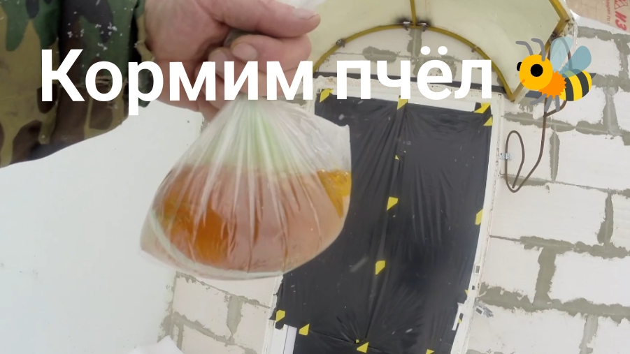 28 января 26 года, как пчелы пережили 30 градусные морозы. смотреть онлайн