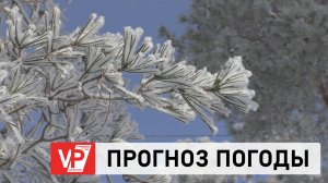 ПРОГНОЗ ПОГОДЫ ПО ВОЛГОГРАДУ И ОБЛАСТИ С 28 ЯНВАРЯ ПО 3 ФЕВРАЛЯ
