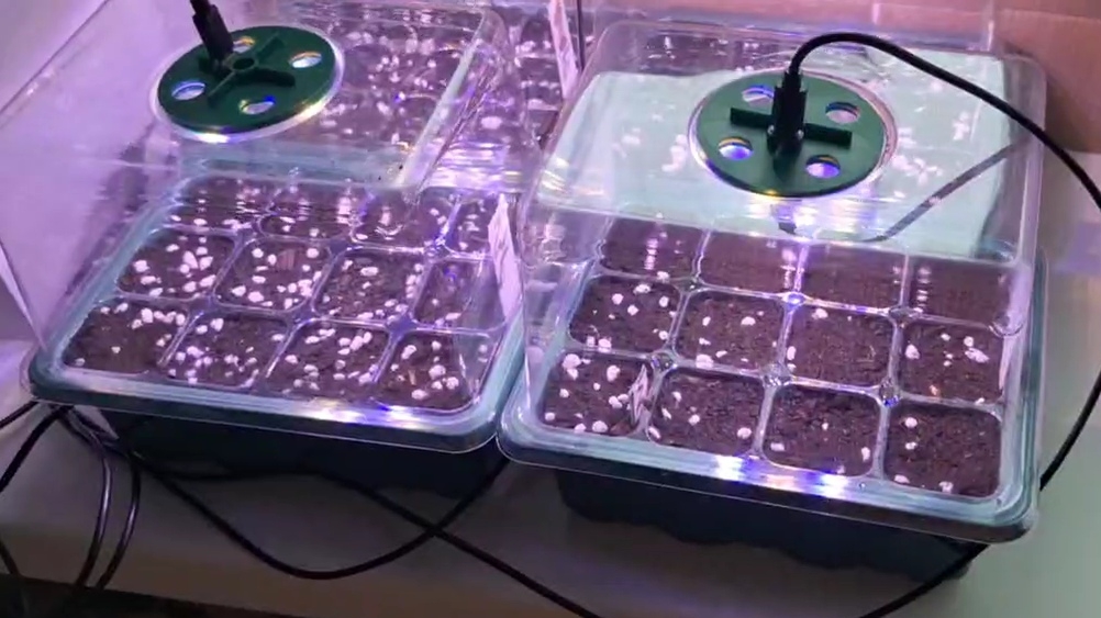 Ейск. Ольга сажает, мы строим. Еще один день зимы... смотреть онлайн