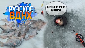 Рузское ВДХР! Искали леща на поливе,а он на свале оказался .