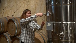 В Севастополе активно развивается современное виноделие и растут профессиональные кадры