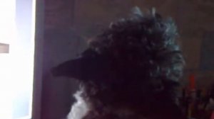 #свердловскийморскойволк
#поет #Рамштайн