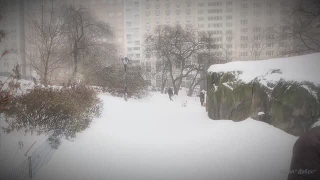 Самая крупная снежная буря обрушилась на Нью-Йорк, исследуя Центр Манхэттена смотреть онлайн