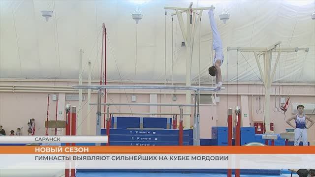 Кубок Мордовии по спортивной гимнастике смотреть онлайн