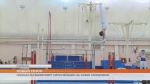 Кубок Мордовии по спортивной гимнастике