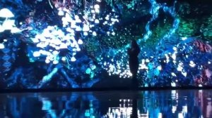 Blues Revelation. Vladimir Nelyubin & Michelle. Music - Lora Quint. Гитара - Владимир Нелюбин.