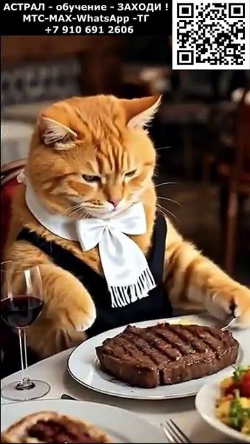 Котики. Приключения Рыжика. Позитив. Юмор. Нейросеть. ИИ#настроение #юмор #смешное #анекдот #шутка смотреть онлайн