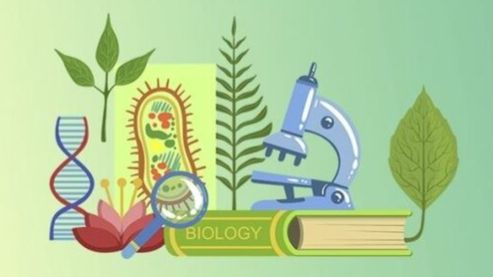 Биология 11 класс. Макроэвалюция. смотреть онлайн