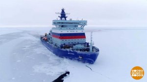 Ледоколу лед не страшен! Доброе утро. Фрагмент выпуска от 28.01.2026