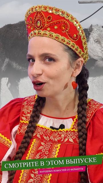 Питре бьет рекорды по надоям. Народные новости. смотреть онлайн