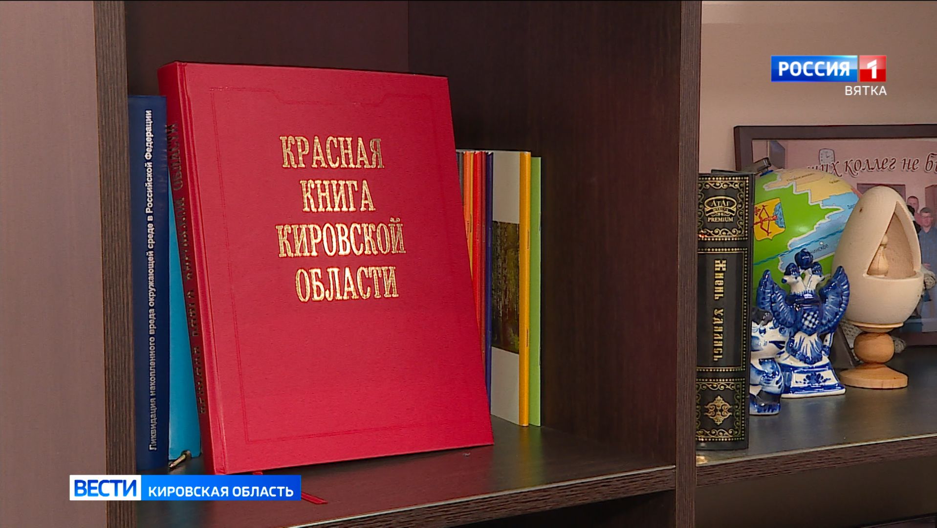 Красную книгу региона планируют выпустить в 2026 году смотреть онлайн