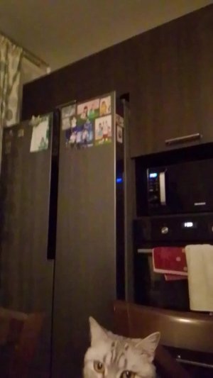 я буду что-то делать