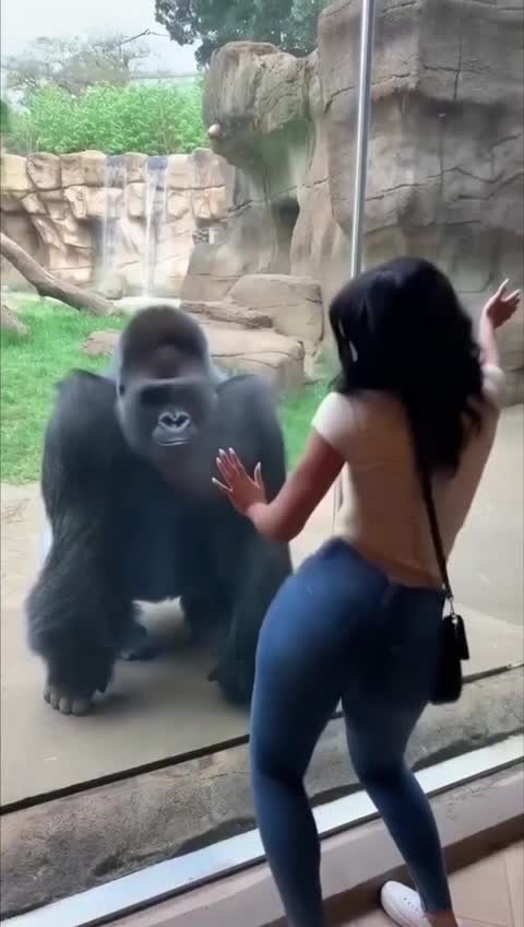 A вам СЛАБО ?😂😂 смотреть онлайн