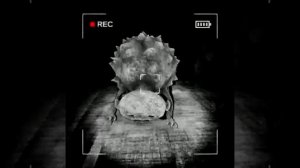 начало моей карьеры